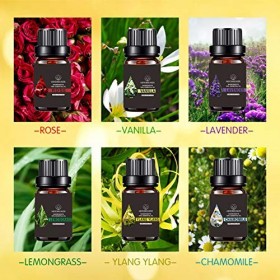 Ensemble dhuiles essentielles florales, huiles parfumées daromathérapie biologique Top 6 Huiles essentielles thérapeutiques