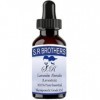 SR Brothers Lavandin Abrialis Lavandula 100% Pure Essential Therapeutic Grade Oil 30ml 