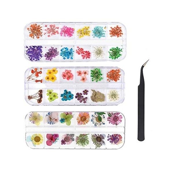 KAHEIGN 96 Pièces Fleur Séchée pour Ongles, 3D Nail Art Véritable Fleur Séchée Nail Applique Nail Pièces Préservé Fleur Manuc