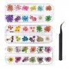 KAHEIGN 96 Pièces Fleur Séchée pour Ongles, 3D Nail Art Véritable Fleur Séchée Nail Applique Nail Pièces Préservé Fleur Manuc