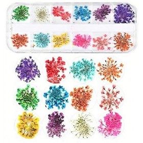 KAHEIGN 96 Pièces Fleur Séchée pour Ongles, 3D Nail Art Véritable Fleur Séchée Nail Applique Nail Pièces Préservé Fleur Manuc