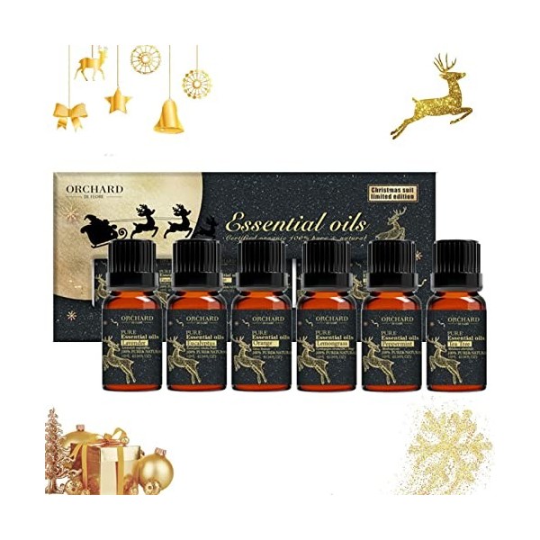 10 Pcs Ensemble dhuiles essentielles de Fabrication de Bougies,Huiles essentielles d6 parfums - Kit dhuile daromathérapie