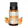 HUILE PARFUMÉE Abricot 10 ml, Huile essentielle - Diffusion, Cosmétique, Massage, Bain aromatique - DIY Bougie, Savon, Crème,