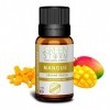 HUILE PARFUMÉE Mangue 10 ml, Huile essentielle - Diffusion, Cosmétique, Massage, Bain aromatique - DIY Bougie, Savon, Crème, 