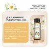 EUQEE Huile Essentielle Camomille 10ml, Huiles Essentielles 100% Pures Naturelles, Huile Essentielle pour Diffuseur, Parfaite