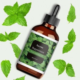 SALKING Huiles Essentielles Menthe Poivrée 120ml, 100% Naturelle Bio Huiles Essentielles Aromathérapie pour Diffuseurs, Humid