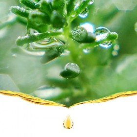 Joyeee Huile Essentielle 6 x 10ml, Kit Huile Essentielle pour Diffuseurs, 100% Pure, Lavande Menthe Rose Camomille Citron Arb