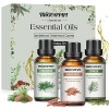 MIGCAPUT Huiles Essentielles Boisée 3 x 30ML - Bois de Santal, Bois de Cèdre, Cyprès, Huiles Essentielles pour Diffuseur 100%