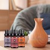 Wukesify Ensemble dhuiles parfumées - Ensemble dhalloween à lhuile Essentielle Bonfire - 6pcs 10ml Kit dhuiles essentiell