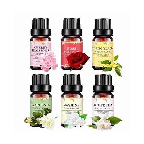 Ailopta Huiles Noël pour Diffuseur, Coffret Cadeau dhuiles Parfum Naturel Kit dhuiles essentielles Florales | 10 ML dhuile