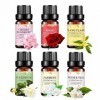 Ailopta Huiles Noël pour Diffuseur, Coffret Cadeau dhuiles Parfum Naturel Kit dhuiles essentielles Florales | 10 ML dhuile