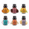 Ocobetom Ensemble dhuiles parfumées | Diffuseur dHuiles Essentielles Senteurs dHuiles | 10ml Kit dhuiles essentielles ave