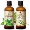 Huile Essentielle Menthe Poivrée 100ml et Huile Essentielle Eucalyptus 100ml - Kit Huiles Essentielles Aromathérapie pour le 