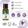 Ayumi, Pure Eucalyptus Oil, 3 x 20ml