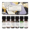 Pajoma Lot de 6 huiles parfumées de Noël - 6 x 10 ML dhuile parfumée pour Lampe aromatique ou diffuseur