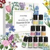 Set dHuiles Essentielles 10x10ml 100% Naturelles pour Diffuseur dAromathérapie - Tea Tree Oil, Eucalyptus, Peppermint, Lemo