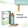 PHATOIL Huile Essentielle Citronnelle Bio 10 ML, Huiles Essentielles 100% Pures Naturelles pour Diffuseur Humidificateur Arom