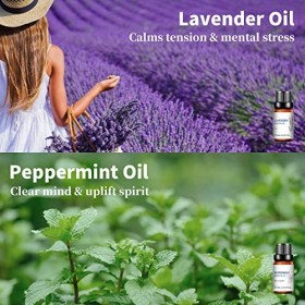 HIQILI Huiles essentielles pour coffret cadeau- 6 x 10 ml