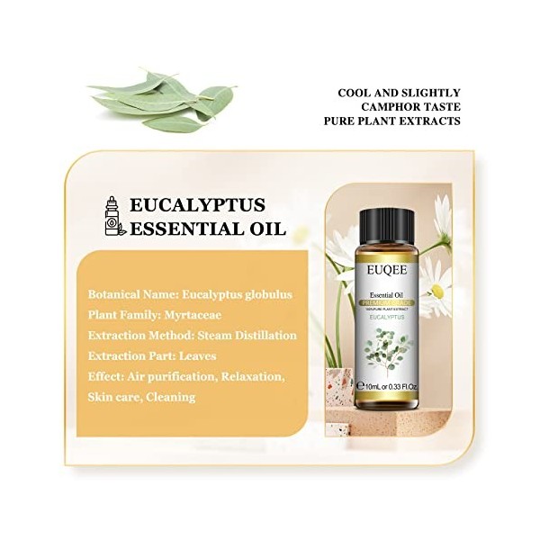 EUQEE Huile Essentielle Eucalyptus 10ml, 100% Pure Huile de Eucalyptus Bio, Naturelles Huiles Essentielles pour Diffuseur, Ar