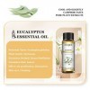 EUQEE Huile Essentielle Eucalyptus 10ml, 100% Pure Huile de Eucalyptus Bio, Naturelles Huiles Essentielles pour Diffuseur, Ar