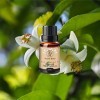 Huile Essentielle de néroli 5ml 100% Pure Et Naturelle Idéale Pour LAromathérapie-Diffuseurs Et Humidificateurs DHuiles Ess