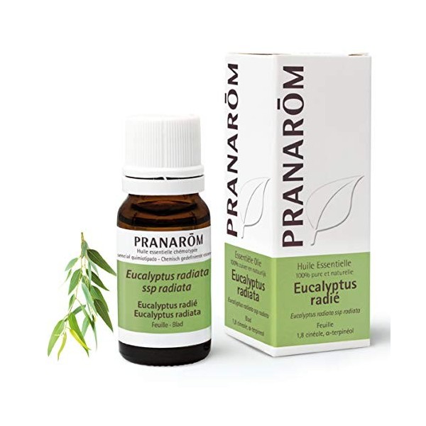 PRANARÔM - Eucalyptus Radié - Huile Essentielle Chémotypée - Voies Respiratoires & Immunité - 100% Pure Et Naturelle - HECT -