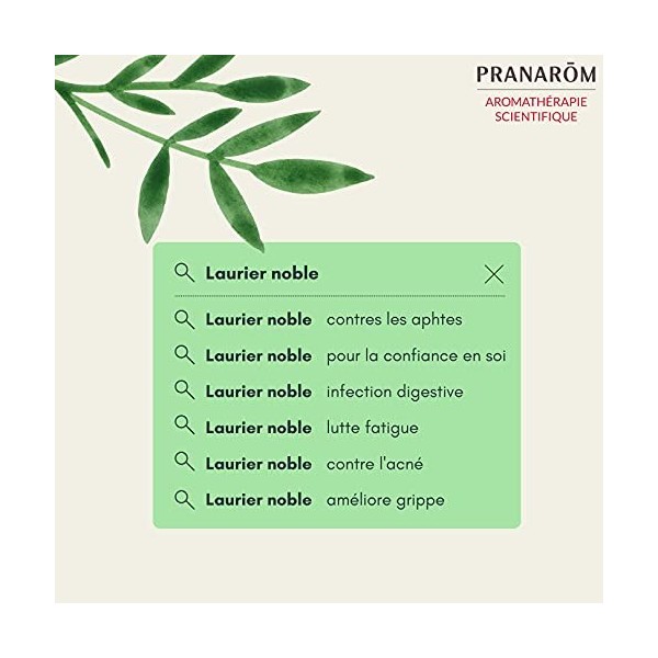 Pranarôm |Huile Essentielle Laurier Noble | Laurus Nobilis | Feuille | HECT | 5 ml