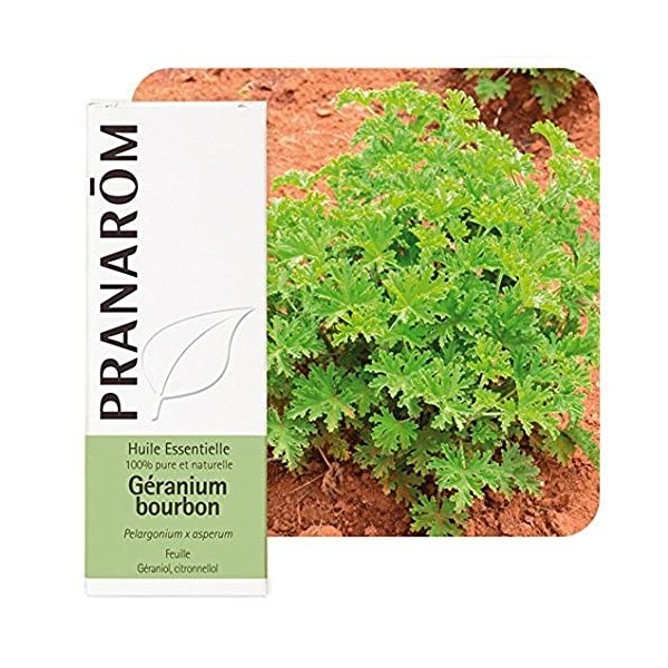 Pranarôm - Géranium Rosat Cv Bourbon Huile Essentielle - Pelargonium x graveolens bourbon - Feuille - HECT 10 ml