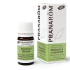 Pranarôm Huile Essentielle Bio, Rosmarinus Officinalis CT Verbenone, Sommité Fleurie HECT, Romarin à Verbénone, 5 ml - Lot de