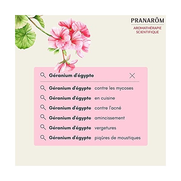 Pranarôm Géranium dEgypte Huile Essentielle Pelargonium x graveolens Feuille HECT 10 ml