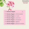 Pranarôm Géranium dEgypte Huile Essentielle Pelargonium x graveolens Feuille HECT 10 ml