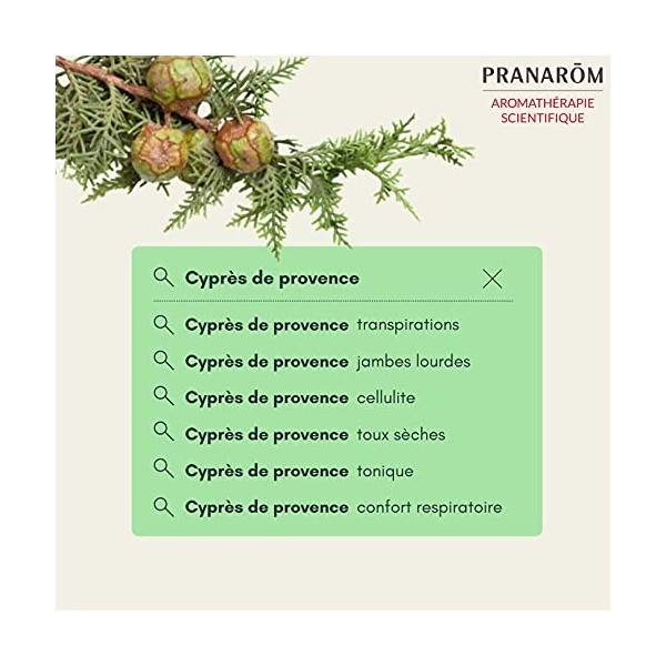 Pranarôm | Huile Essentielle de Cyprès de Provence Bio | Cupressus sempervirens | Rameau | 5 ml