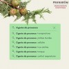 Pranarôm | Huile Essentielle de Cyprès de Provence Bio | Cupressus sempervirens | Rameau | 5 ml