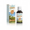 Puressentiel - Diffuse Voyage en Sicile - Huiles essentielles pour Diffusion - 100% pure et naturelle - aux notes fruitées, d