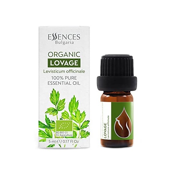 Essences Bulgaria Huile Essentielle de Livèche Bio 5ml | Levisticum officinale | 100% Pur et Naturel | Non Dilué | Qualité Th