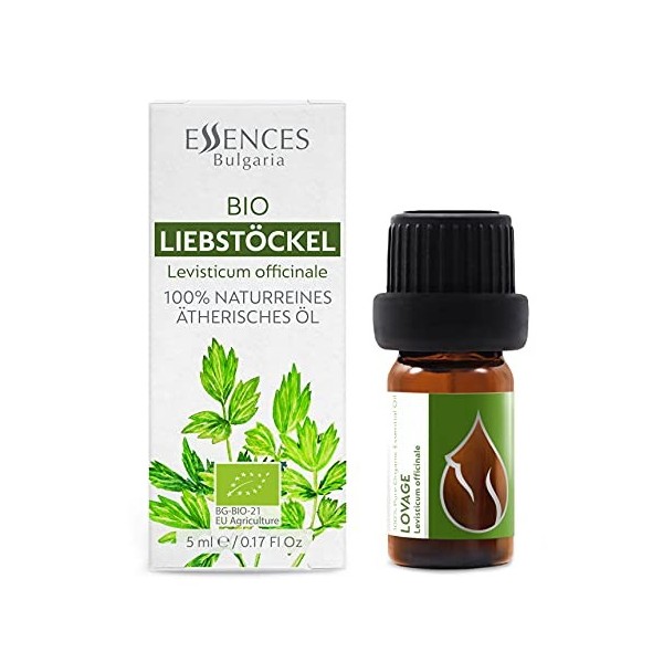 Essences Bulgaria Huile Essentielle de Livèche Bio 5ml | Levisticum officinale | 100% Pur et Naturel | Non Dilué | Qualité Th