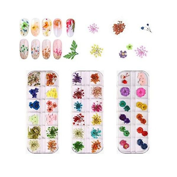 Fleur Séchée pour Ongles 3 boîtes 36 couleurs Nail Applique 72 pièces 3D Nail Art fournitures Applique pour bricolage Nail Ar