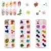 Fleur Séchée pour Ongles 3 boîtes 36 couleurs Nail Applique 72 pièces 3D Nail Art fournitures Applique pour bricolage Nail Ar