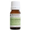 Pranarôm Huile Essentielle Pin Sylvestre Bio Pinus sylvestris Aiguille HECT 10 ml