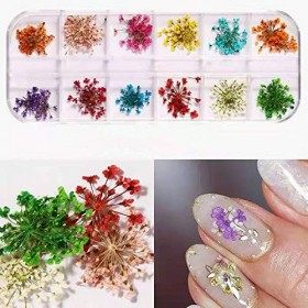 Fleur Séchée pour Ongles 3 boîtes 36 couleurs Nail Applique 72 pièces 3D Nail Art fournitures Applique pour bricolage Nail Ar