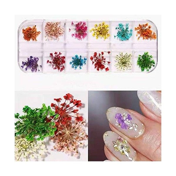 Fleur Séchée pour Ongles 3 boîtes 36 couleurs Nail Applique 72 pièces 3D Nail Art fournitures Applique pour bricolage Nail Ar