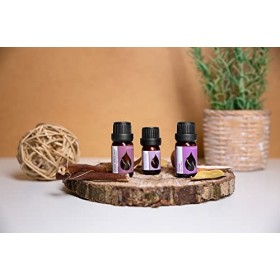 Coffret "Vitalité" Essences Bulgaria Huiles Essentielles Bio| Thym 10ml + Origan Grec 10ml + Sarriette Citronnée 5ml | 