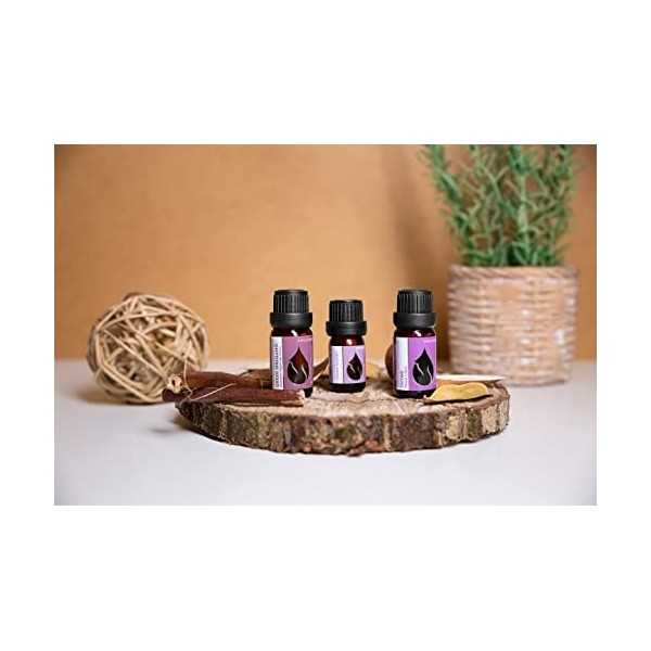 Coffret "Vitalité" Essences Bulgaria Huiles Essentielles Bio| Thym 10ml + Origan Grec 10ml + Sarriette Citronnée 5ml | 