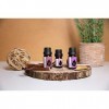 Coffret "Vitalité" Essences Bulgaria Huiles Essentielles Bio| Thym 10ml + Origan Grec 10ml + Sarriette Citronnée 5ml | 