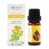 Essences Bulgaria Huile Essentielle de Millepertuis Bio 10ml | Hypericum perforatum | 100% Pur et Naturel | Non Dilué | Grade