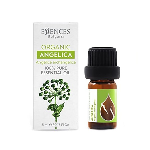 Essences Bulgaria Huile Essentielle dAngélique Bio 5ml | Angelica archangelica | 100% Pur et Naturel | Non Dilué | Qualité T