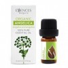 Essences Bulgaria Huile Essentielle dAngélique Bio 5ml | Angelica archangelica | 100% Pur et Naturel | Non Dilué | Qualité T