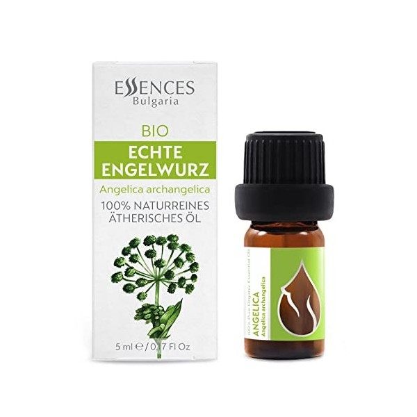 Essences Bulgaria Huile Essentielle dAngélique Bio 5ml | Angelica archangelica | 100% Pur et Naturel | Non Dilué | Qualité T