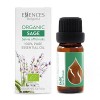 Essences Bulgaria Huile Essentielle de Sauge Bio 50ml | Salvia officinalis | 100% Pur et Naturel | Non Dilué | Grade Thérapeu