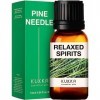 Kukka Huiles essentielles de pin pour diffuseur - Huiles essentielles de pin dautomne 100 % pures de qualité thérapeutique -